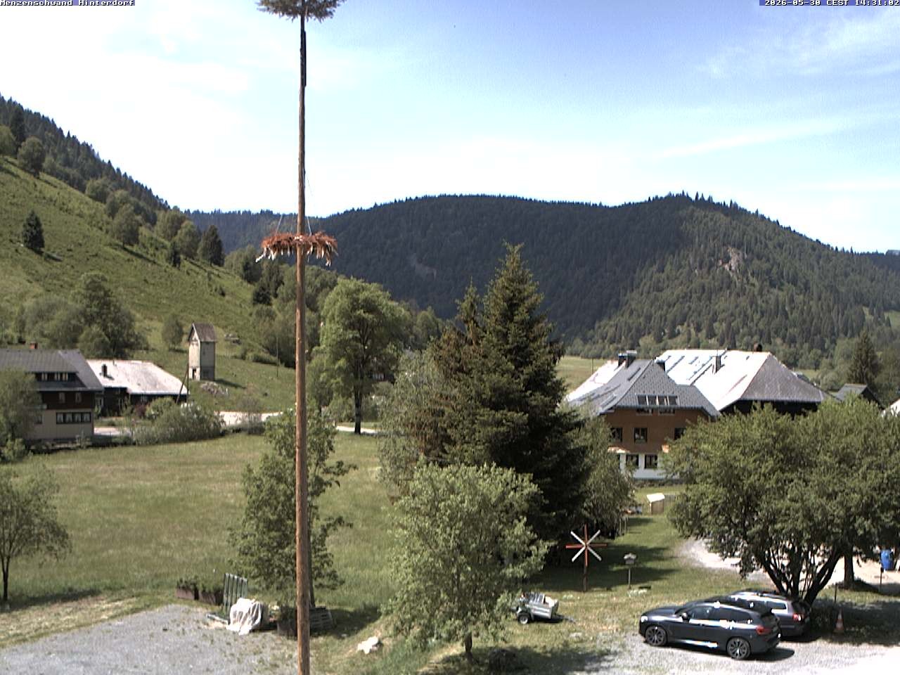 Archived image Webcam Menzenschwand (Hinterdorf)