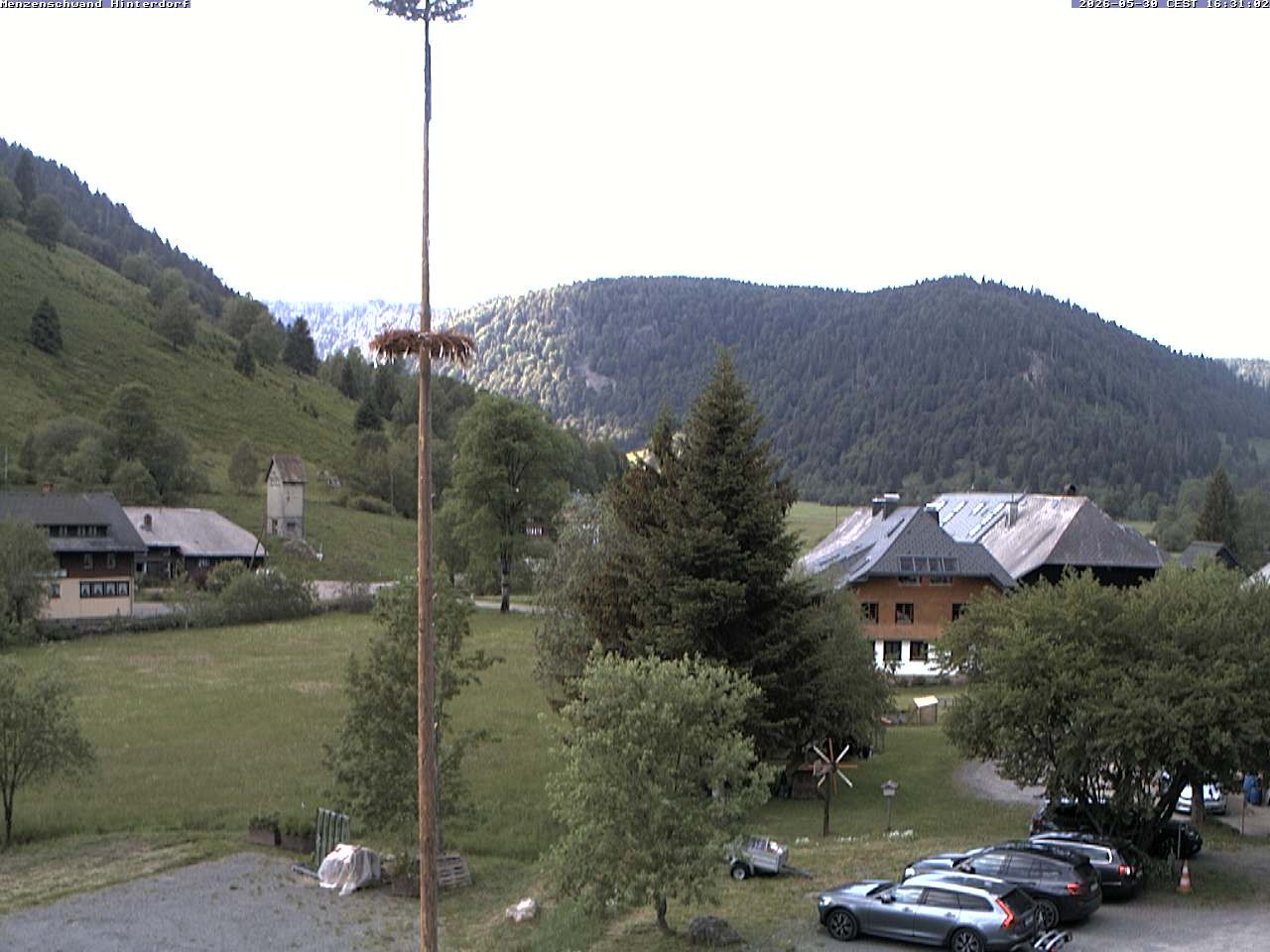 Archiv Foto Webcam Menzenschwand: Hinterdorf