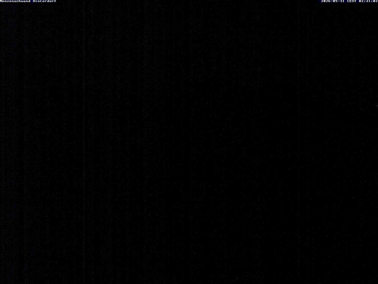 Archived image Webcam Menzenschwand (Hinterdorf)