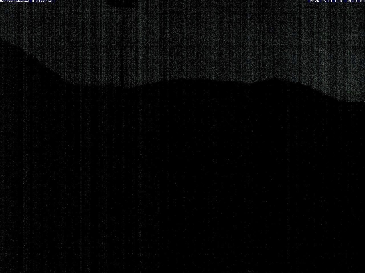 Archived image Webcam Menzenschwand (Hinterdorf)