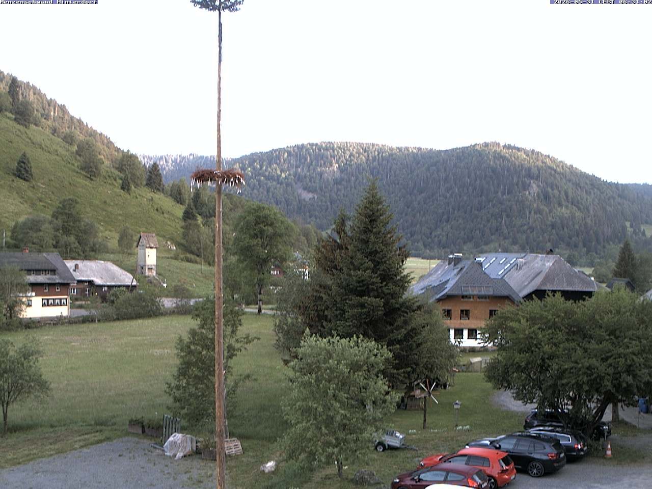 Archived image Webcam Menzenschwand (Hinterdorf)