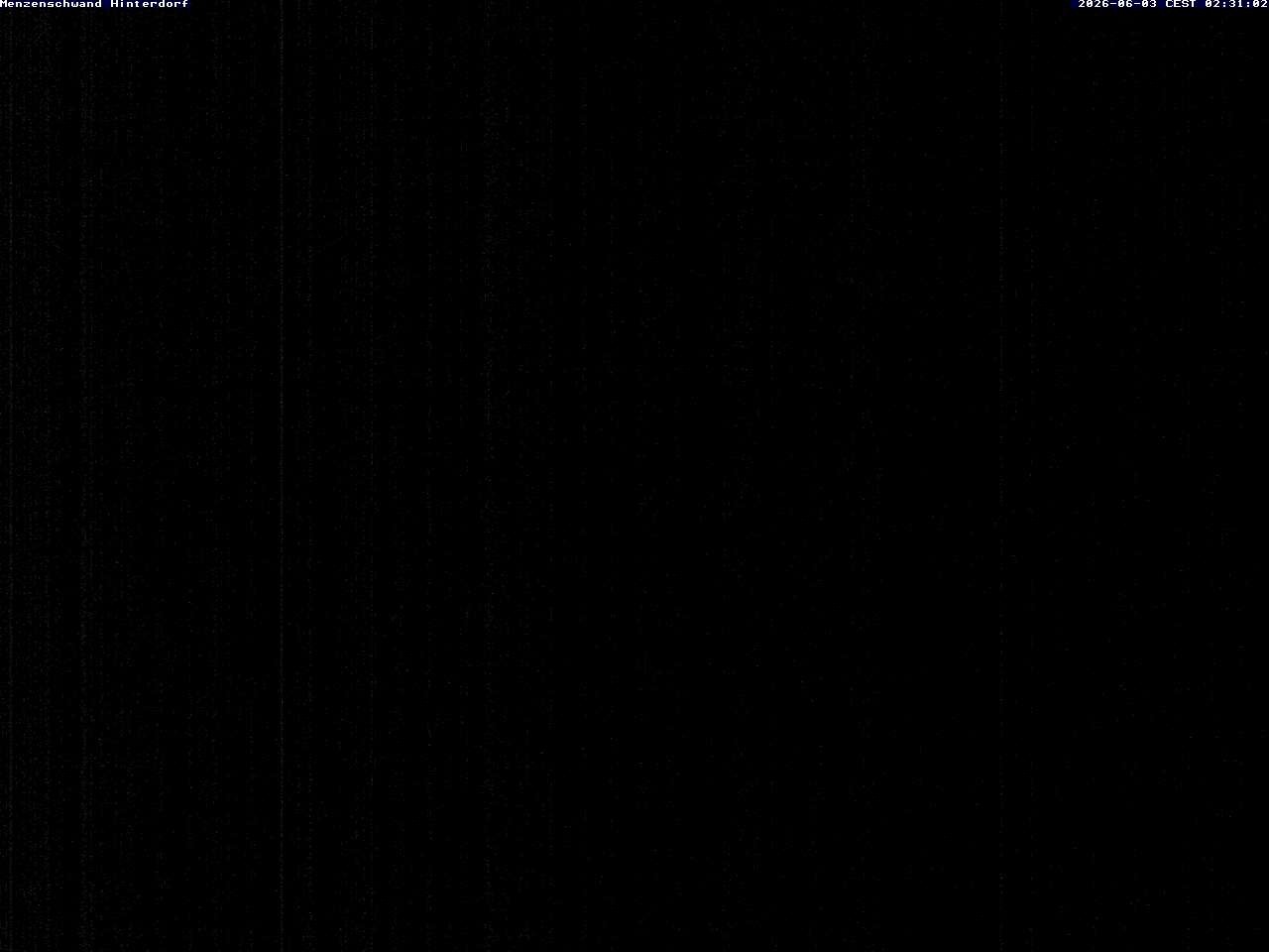 Archiv Foto Webcam Menzenschwand: Hinterdorf