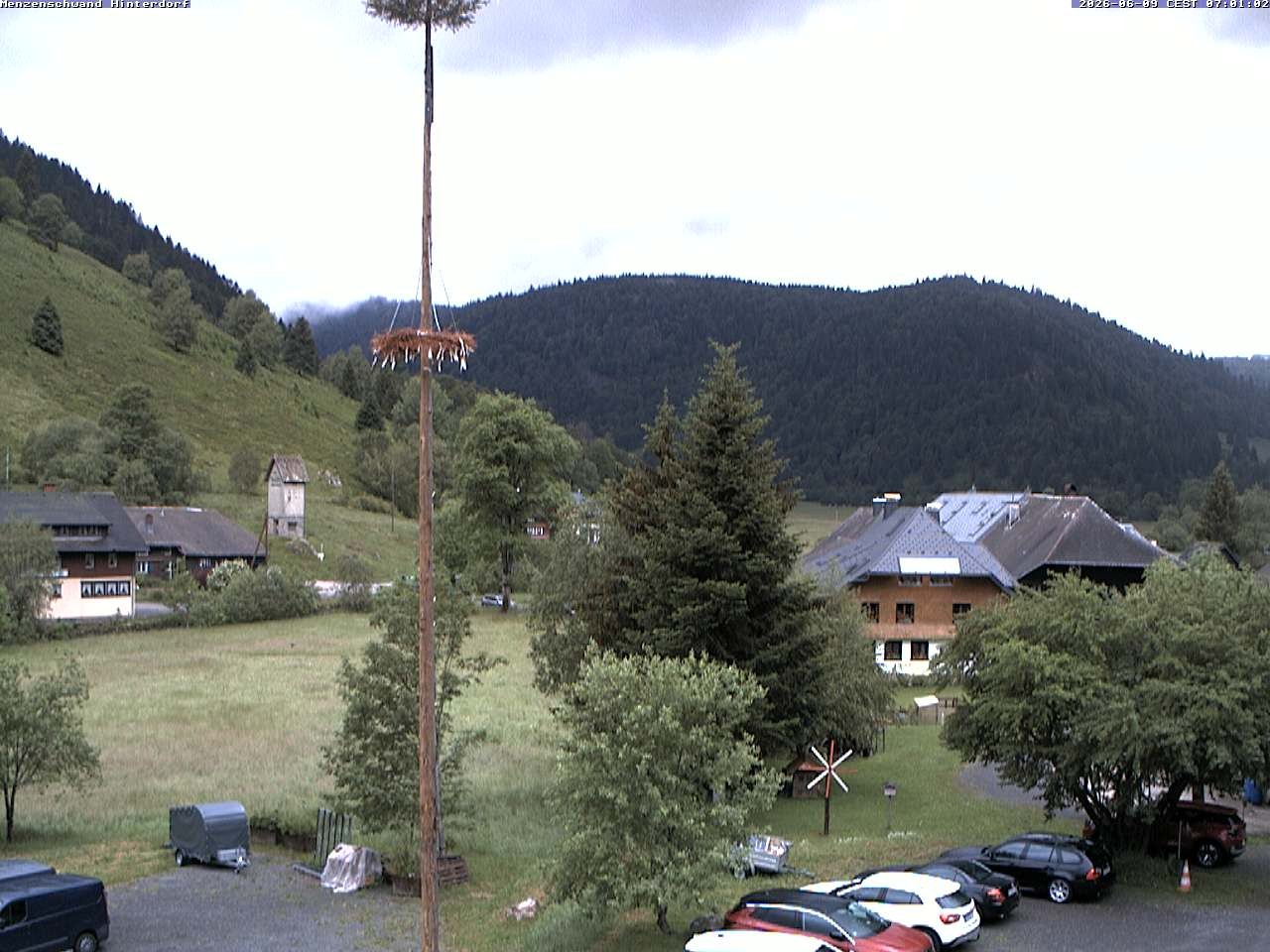 Archived image Webcam Menzenschwand (Hinterdorf)