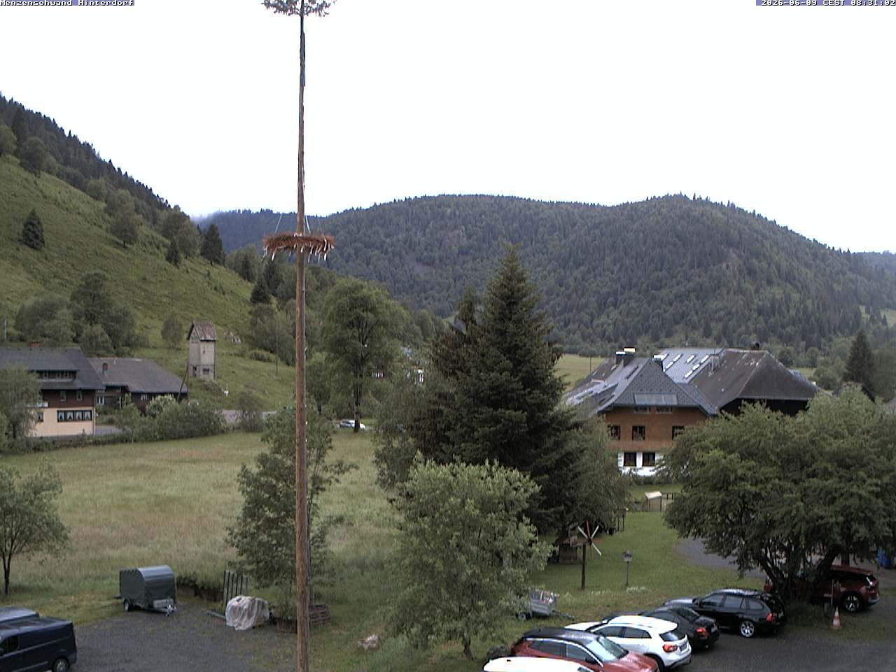 Archived image Webcam Menzenschwand (Hinterdorf)