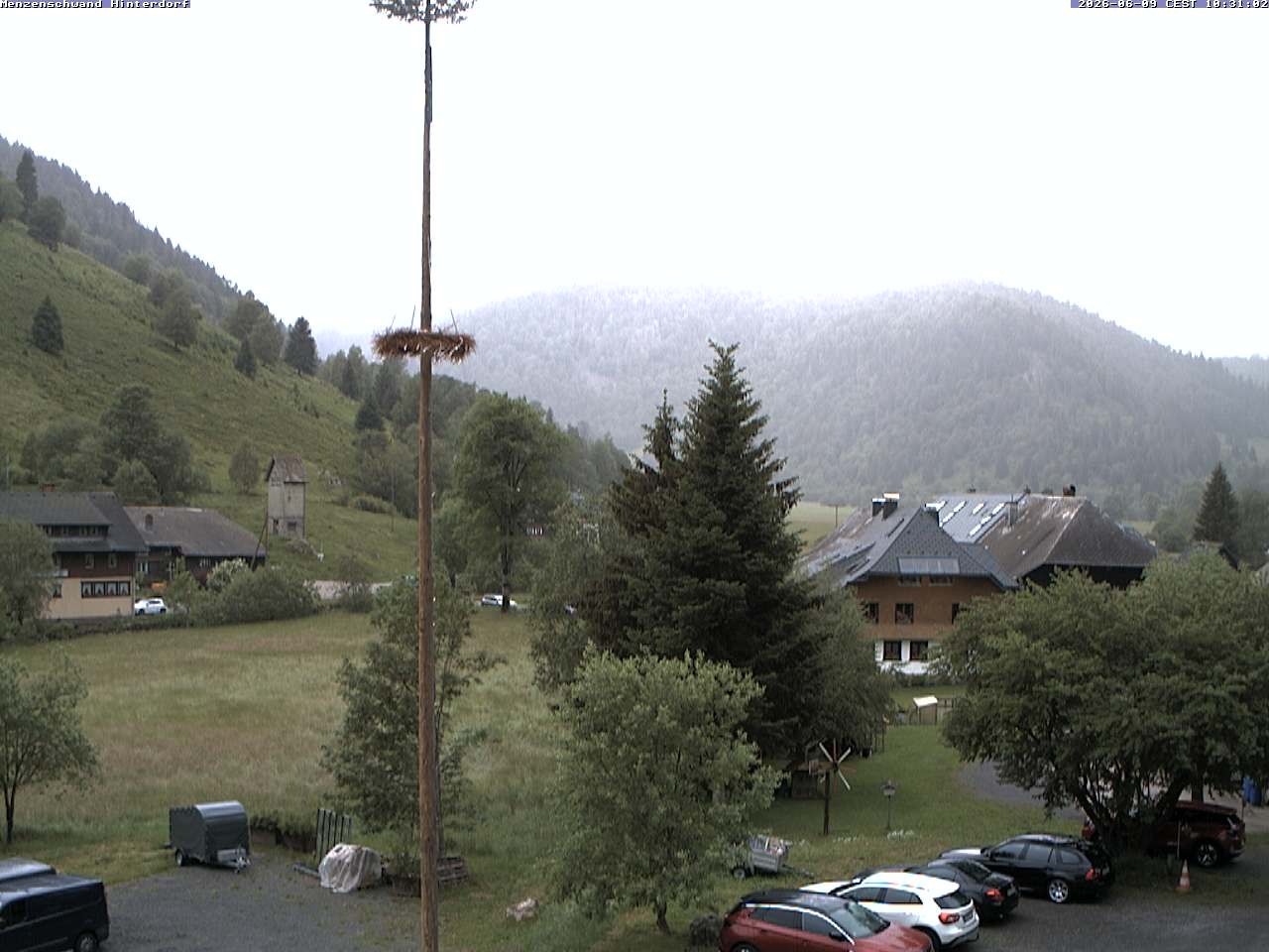 Archived image Webcam Menzenschwand (Hinterdorf)