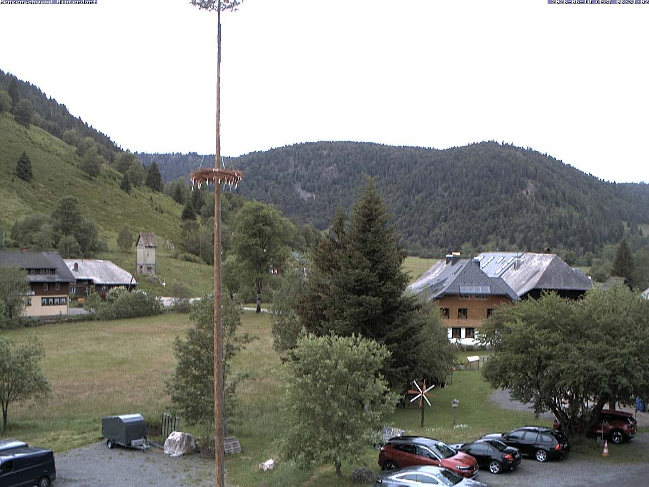 Archiv Foto Webcam Menzenschwand: Hinterdorf