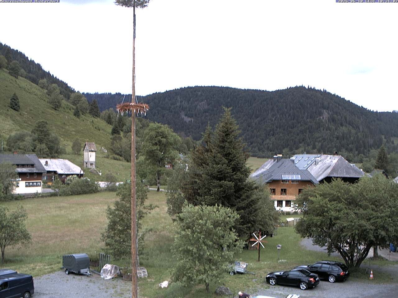 Archiv Foto Webcam Menzenschwand: Hinterdorf