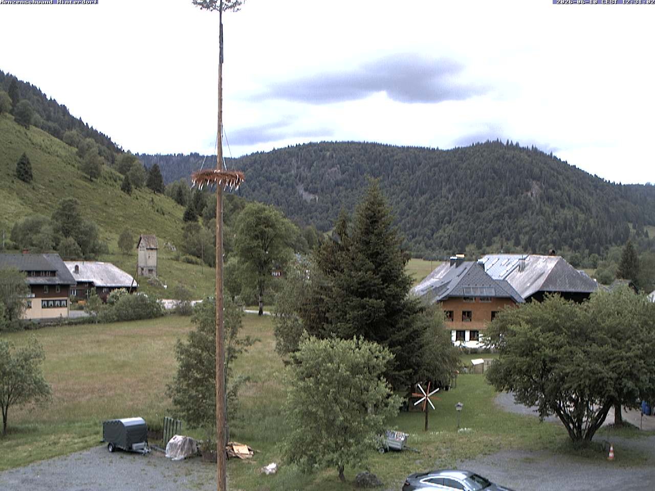 Archiv Foto Webcam Menzenschwand: Hinterdorf