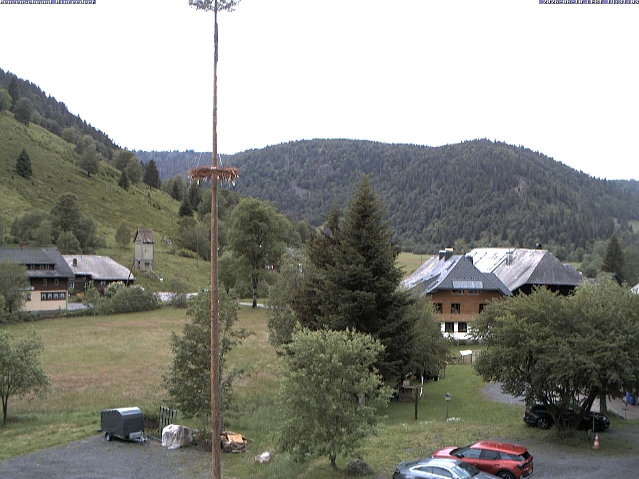 Archiv Foto Webcam Menzenschwand: Hinterdorf