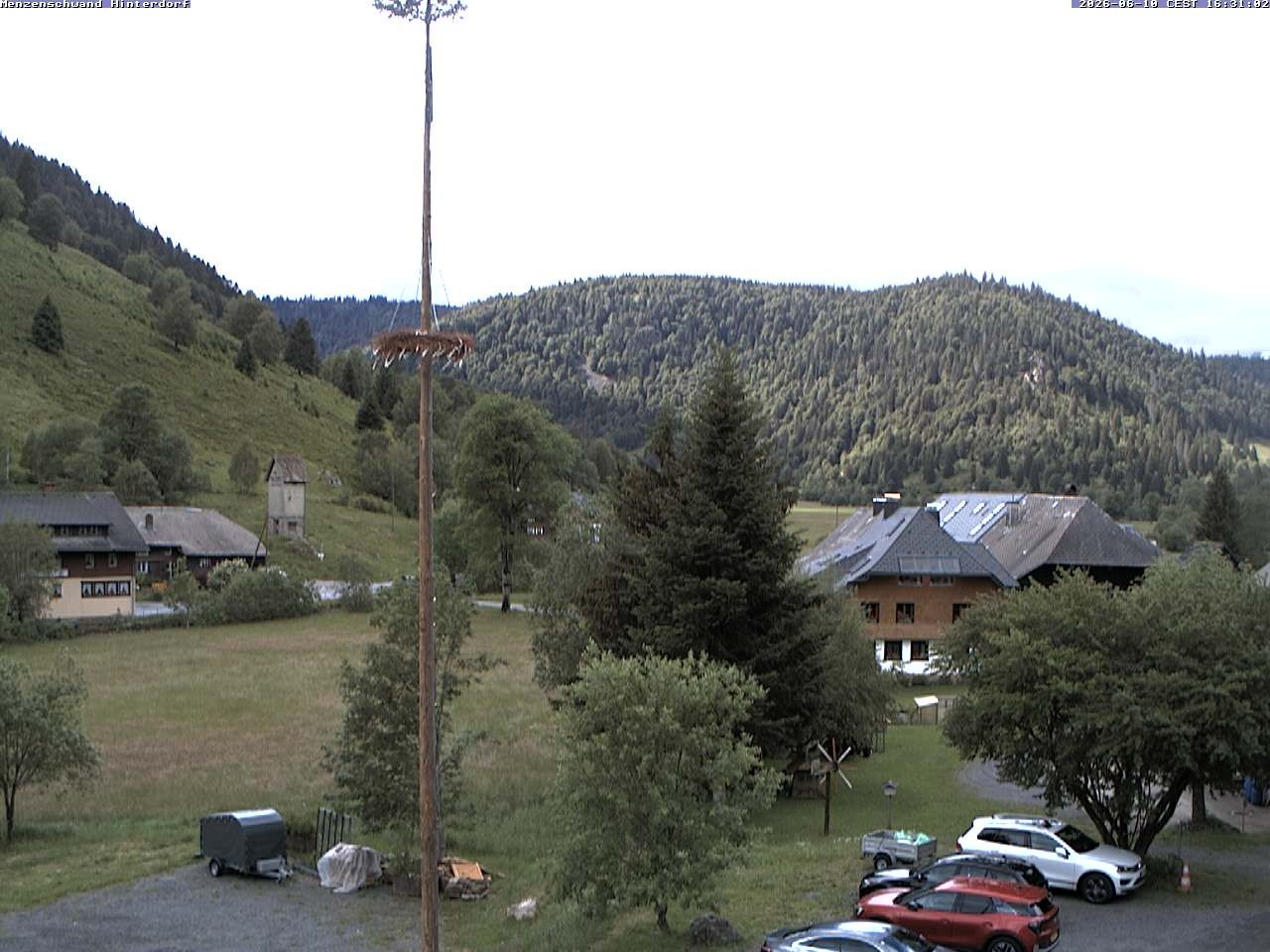 Archiv Foto Webcam Menzenschwand: Hinterdorf