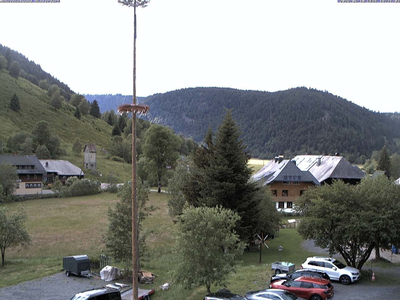 Archiv Foto Webcam Menzenschwand: Hinterdorf