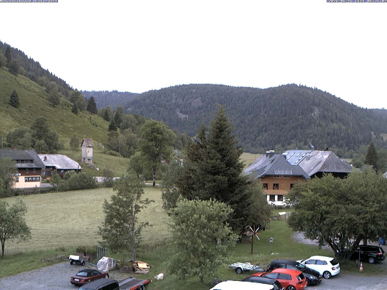 Archiv Foto Webcam Menzenschwand: Hinterdorf