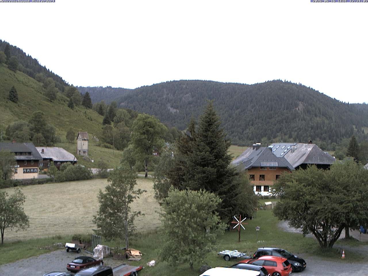 Archiv Foto Webcam Menzenschwand: Hinterdorf