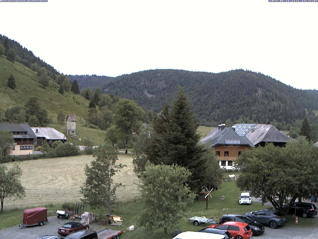 Archiv Foto Webcam Menzenschwand: Hinterdorf