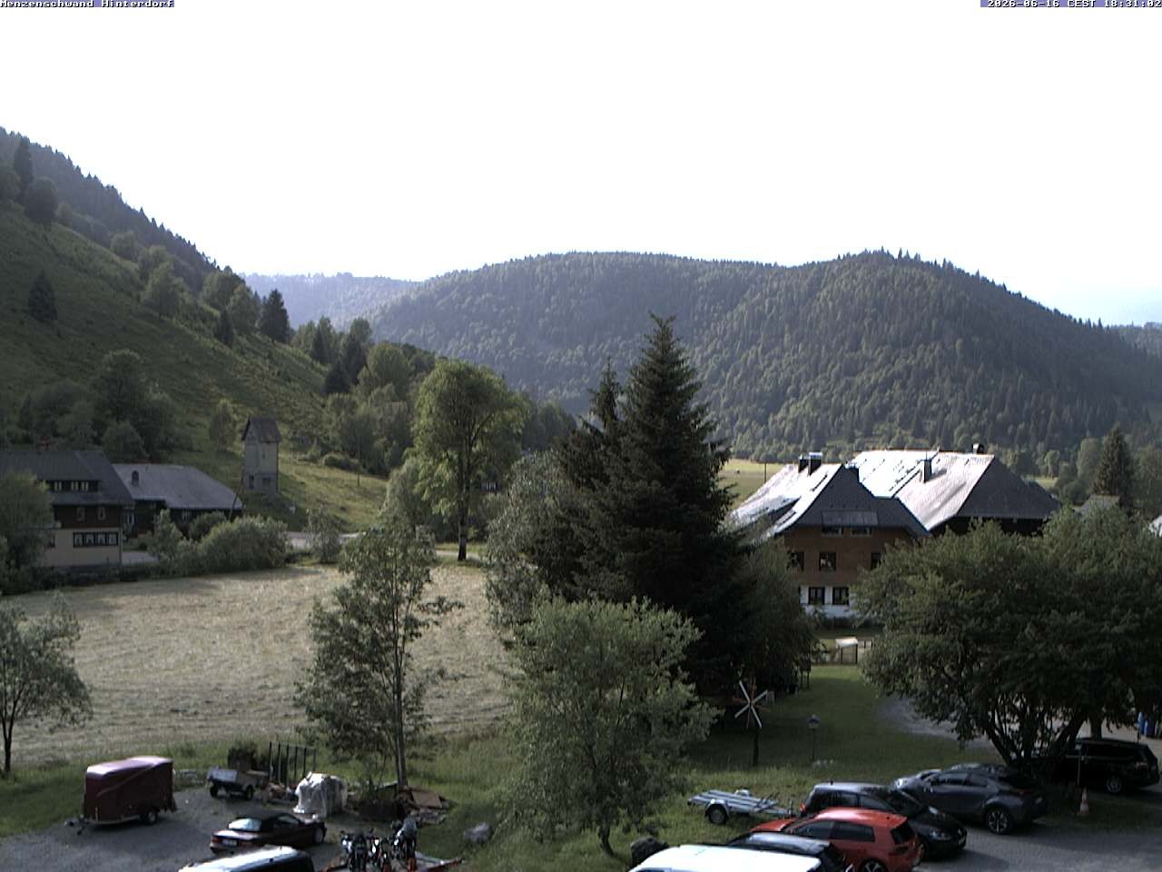 Archived image Webcam Menzenschwand (Hinterdorf)