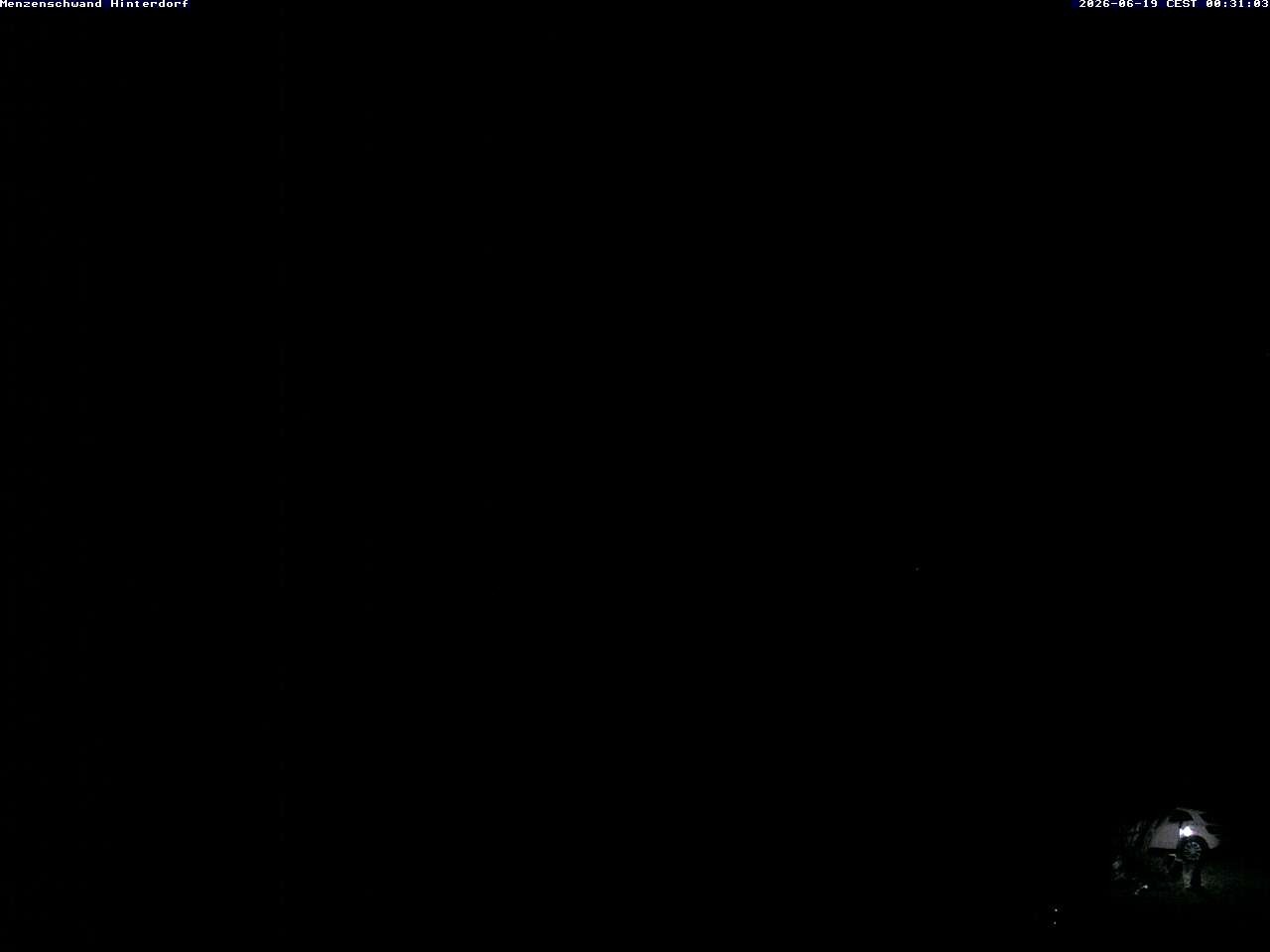 Archiv Foto Webcam Menzenschwand: Hinterdorf