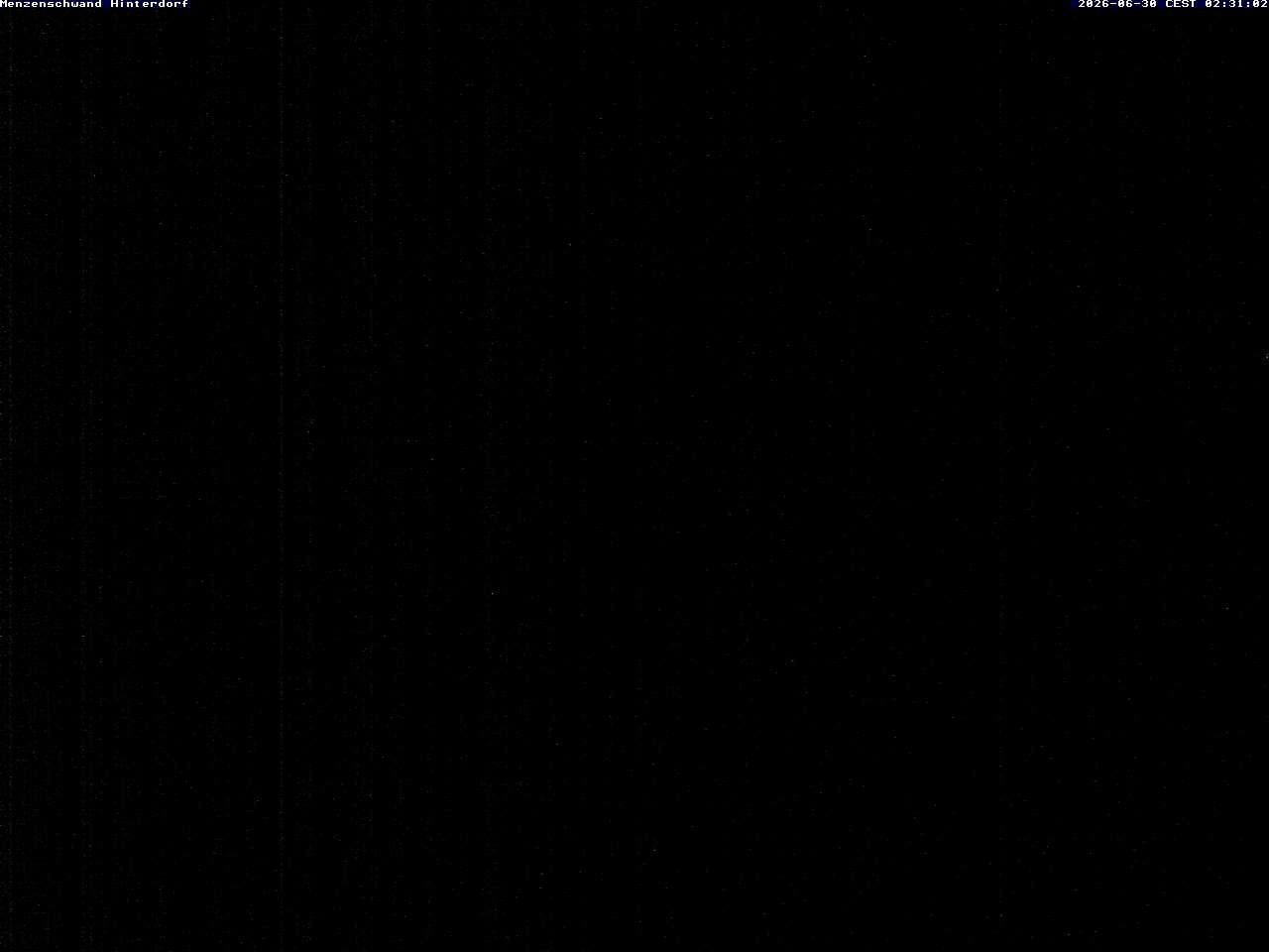 Archiv Foto Webcam Menzenschwand: Hinterdorf