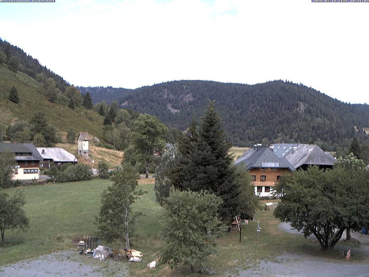Archived image Webcam Menzenschwand (Hinterdorf)