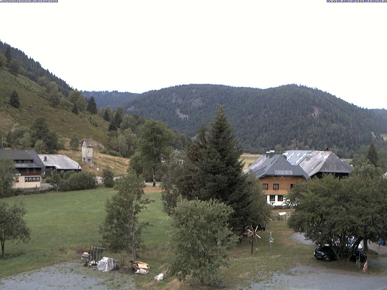 Archived image Webcam Menzenschwand (Hinterdorf)