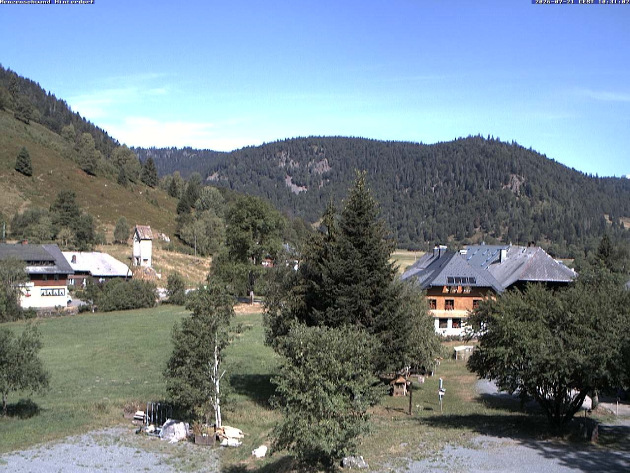 Archiv Foto Webcam Menzenschwand: Hinterdorf