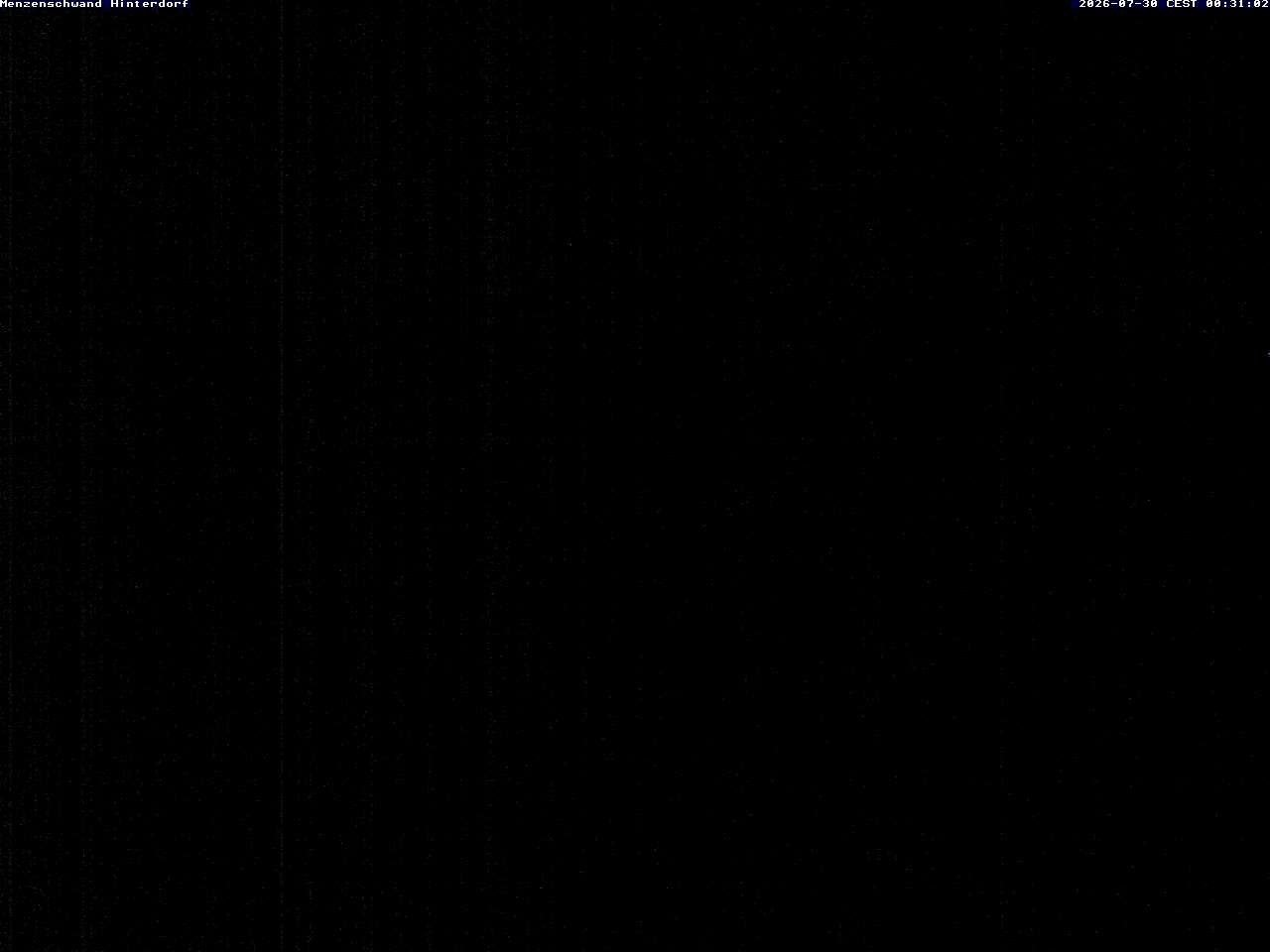 Archiv Foto Webcam Menzenschwand: Hinterdorf