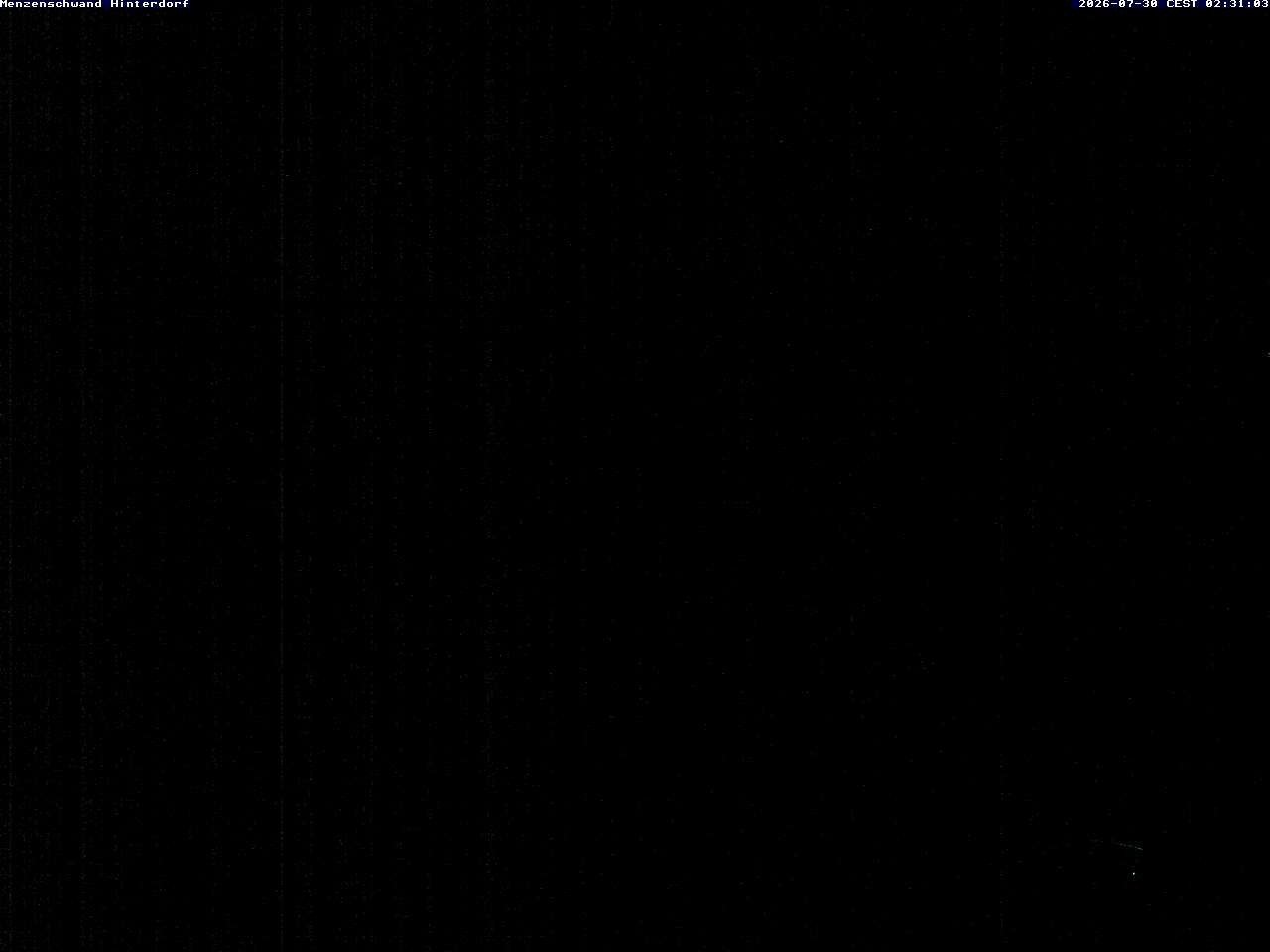 Archiv Foto Webcam Menzenschwand: Hinterdorf