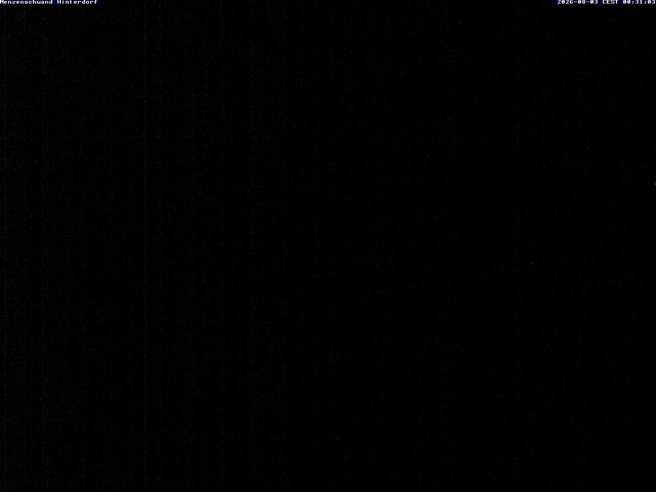 Archiv Foto Webcam Menzenschwand: Hinterdorf