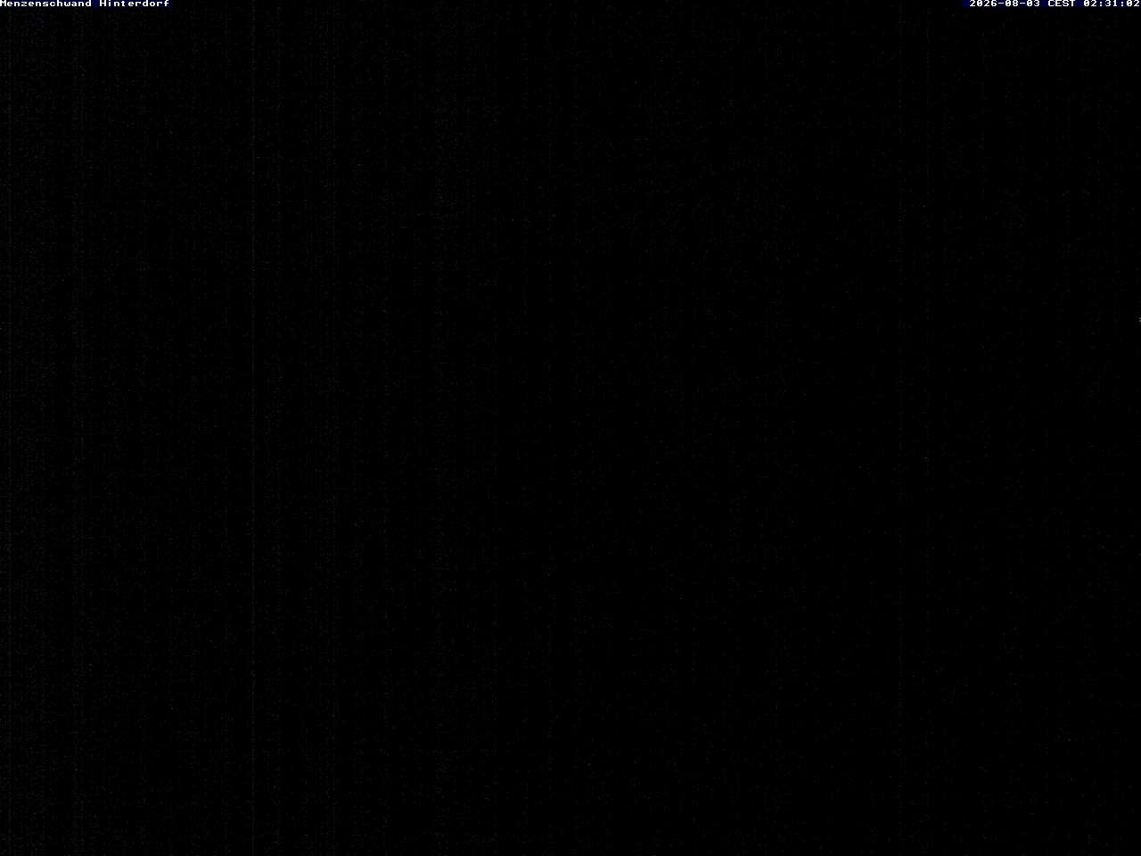 Archiv Foto Webcam Menzenschwand: Hinterdorf