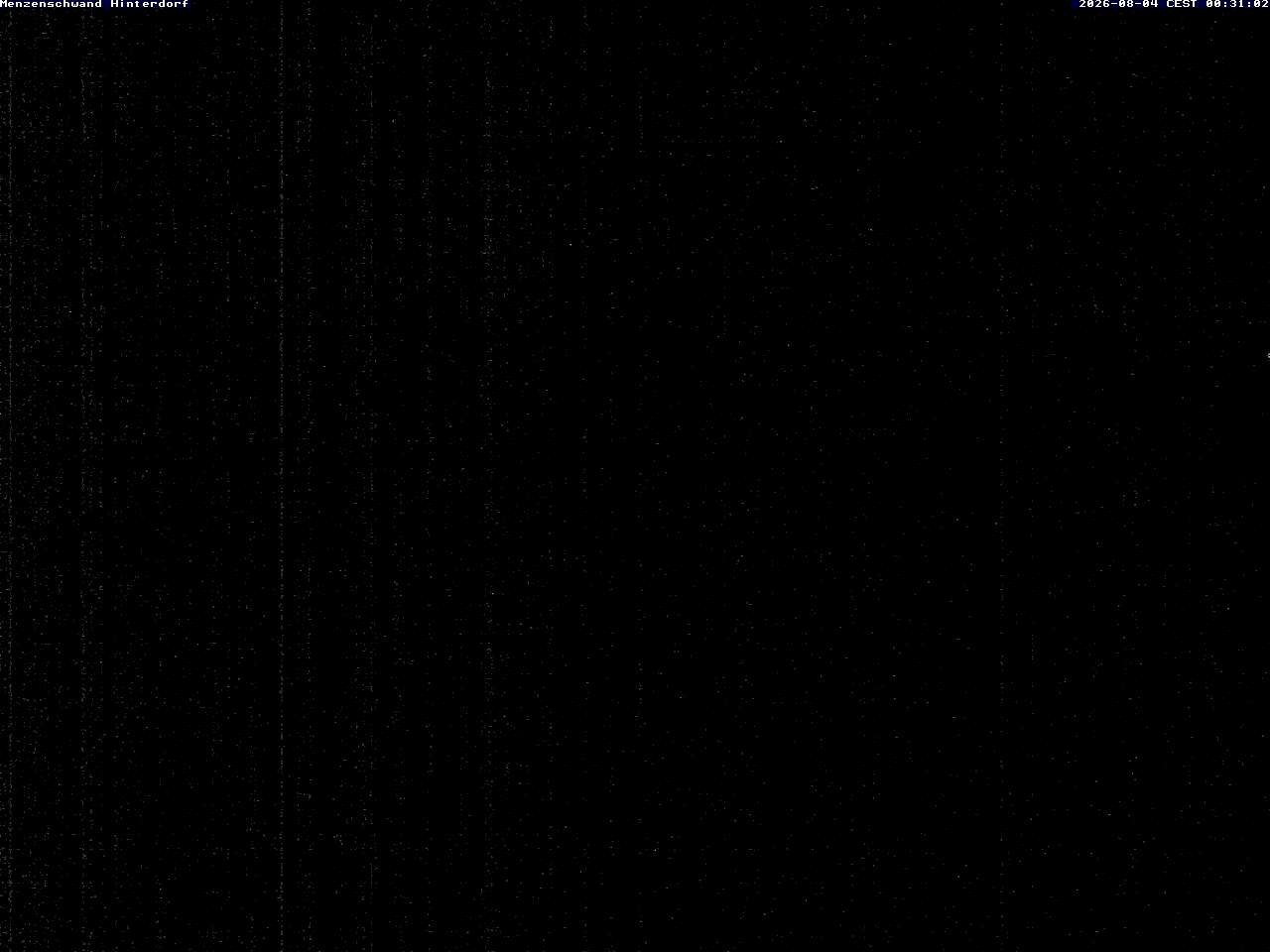 Archiv Foto Webcam Menzenschwand: Hinterdorf