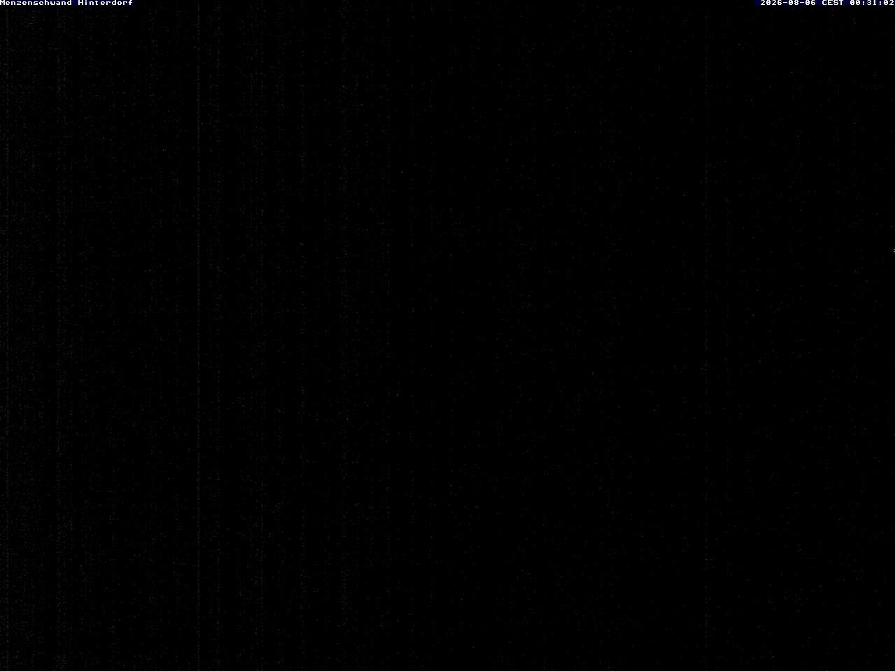 Archiv Foto Webcam Menzenschwand: Hinterdorf