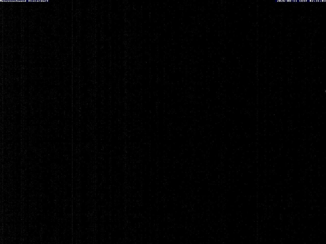 Archiv Foto Webcam Menzenschwand: Hinterdorf