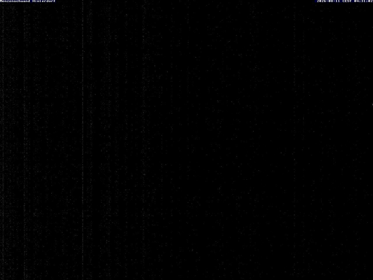 Archiv Foto Webcam Menzenschwand: Hinterdorf