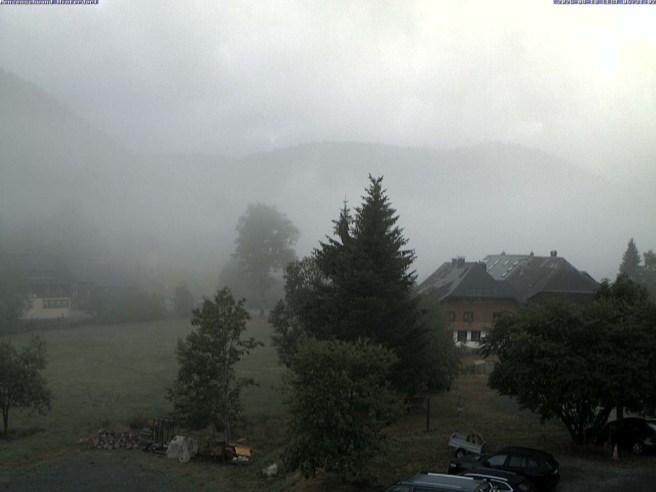 Archiv Foto Webcam Menzenschwand: Hinterdorf