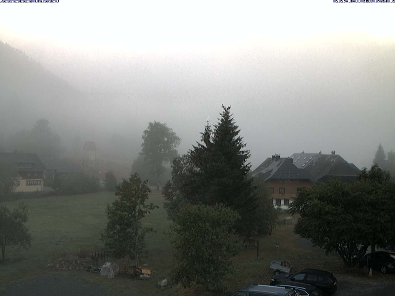Archiv Foto Webcam Menzenschwand: Hinterdorf