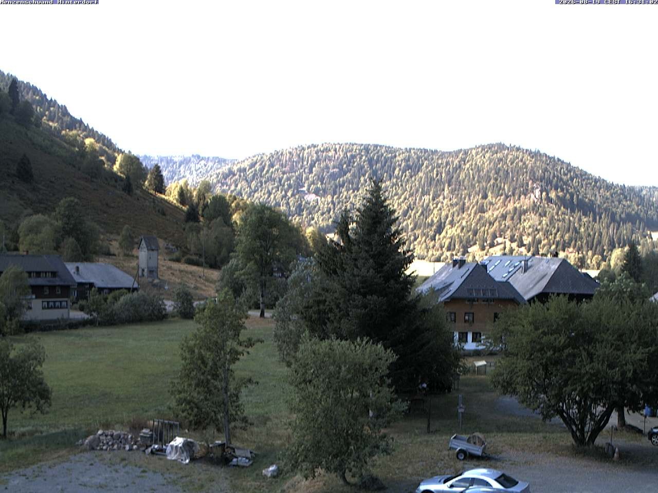 Archiv Foto Webcam Menzenschwand: Hinterdorf