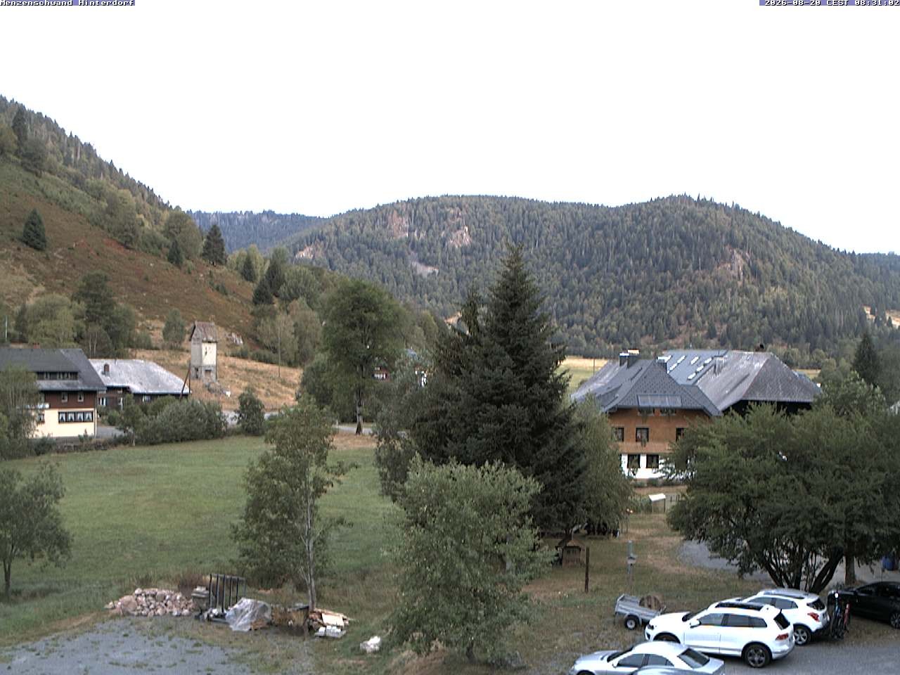 Archiv Foto Webcam Menzenschwand: Hinterdorf