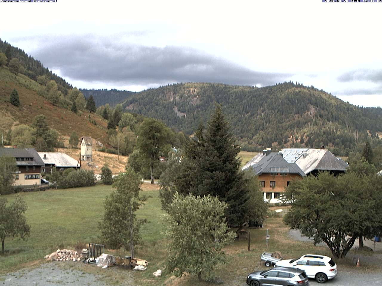 Archiv Foto Webcam Menzenschwand: Hinterdorf