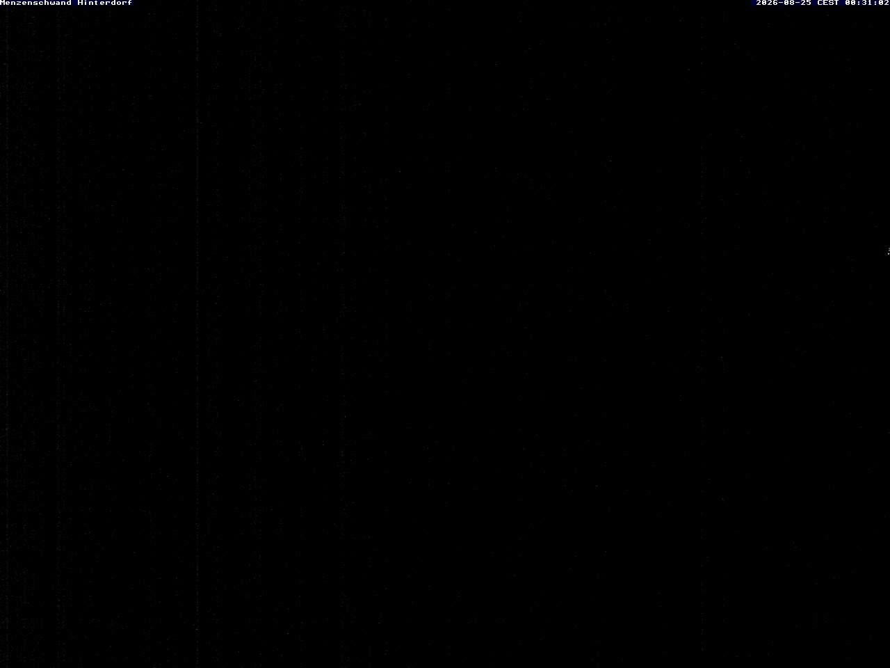 Archived image Webcam Menzenschwand (Hinterdorf)