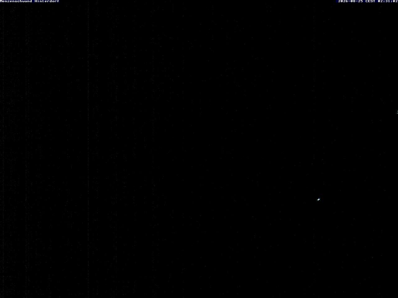 Archiv Foto Webcam Menzenschwand: Hinterdorf