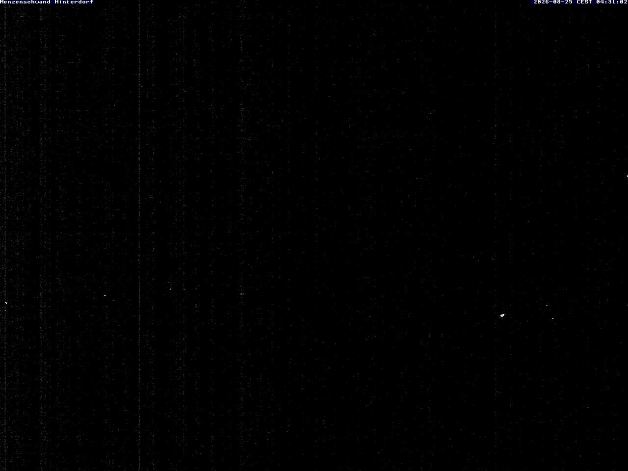 Archiv Foto Webcam Menzenschwand: Hinterdorf