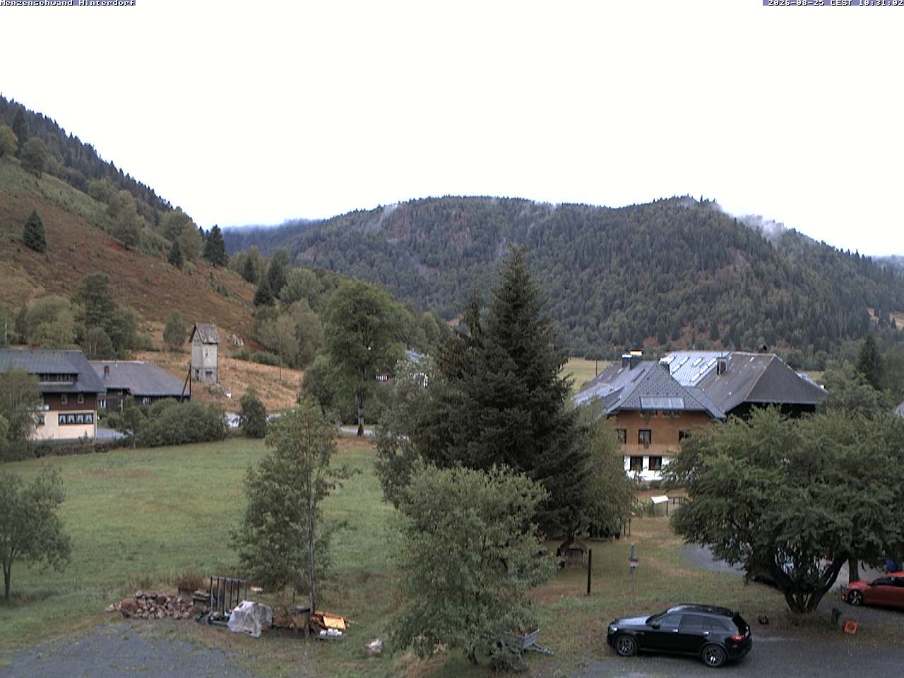 Archiv Foto Webcam Menzenschwand: Hinterdorf