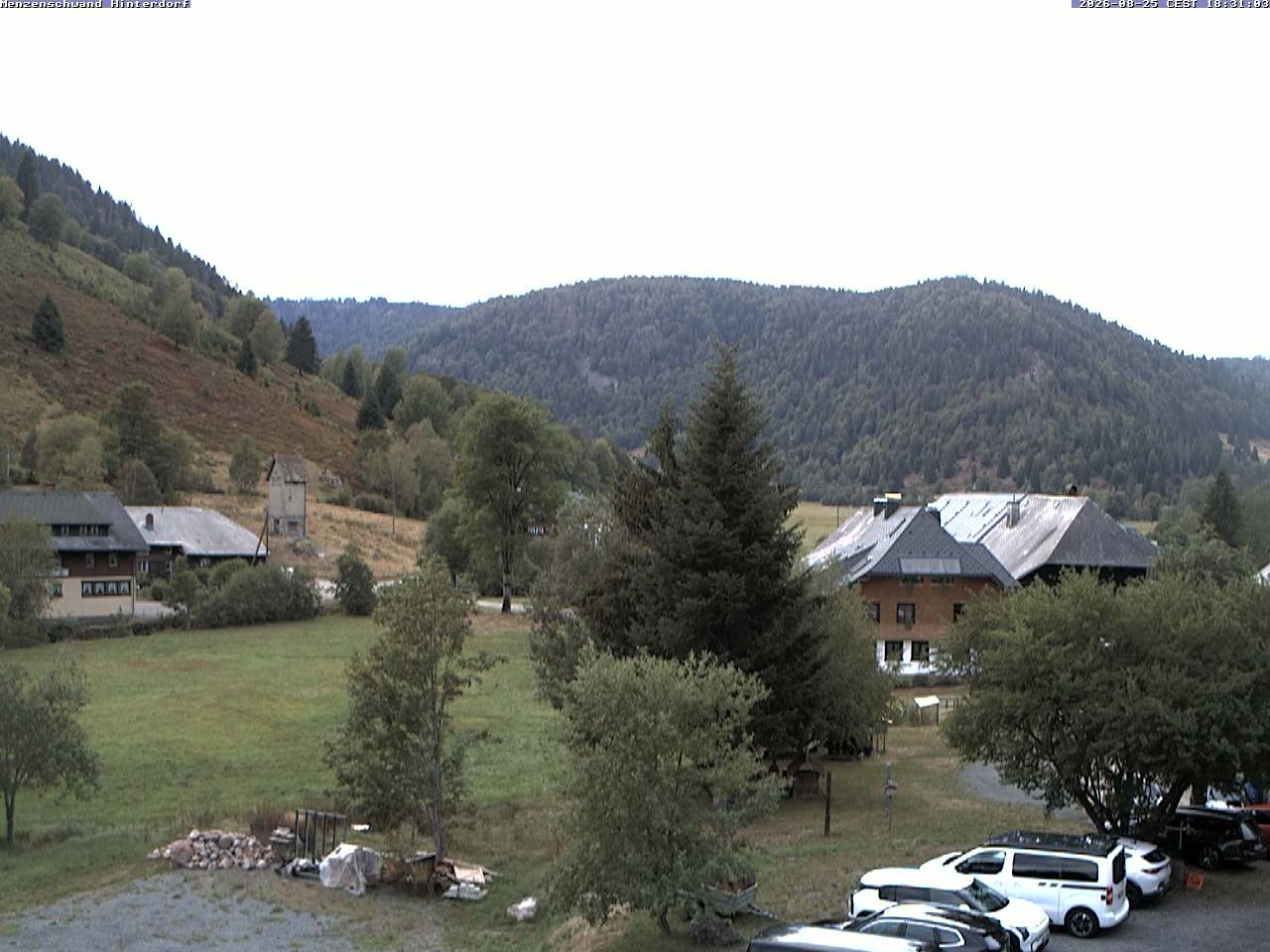 Archived image Webcam Menzenschwand (Hinterdorf)