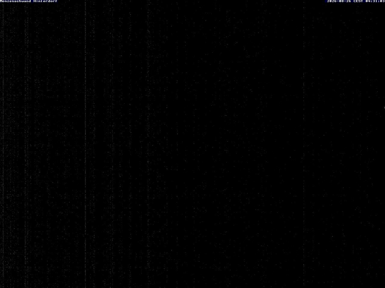 Archiv Foto Webcam Menzenschwand: Hinterdorf