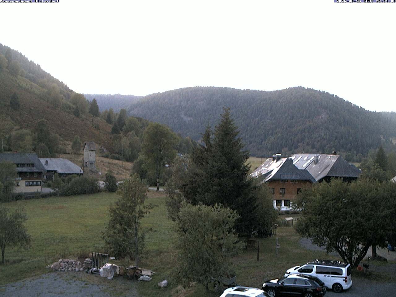 Archiv Foto Webcam Menzenschwand: Hinterdorf