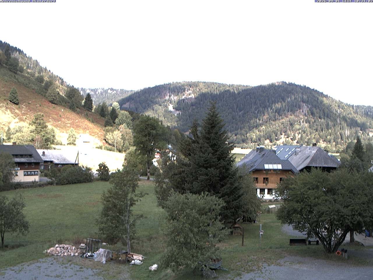 Archiv Foto Webcam Menzenschwand: Hinterdorf