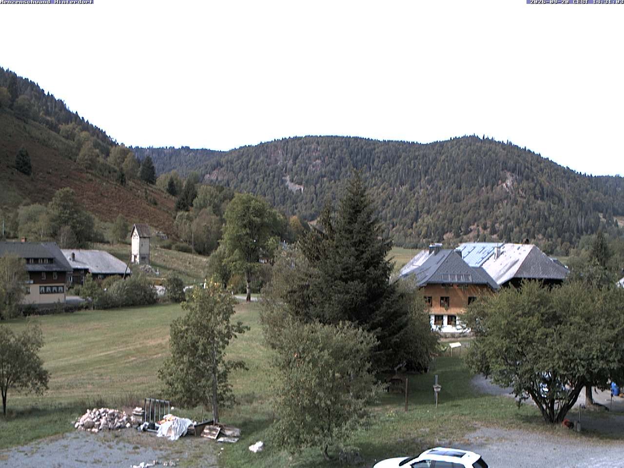 Archiv Foto Webcam Menzenschwand: Hinterdorf