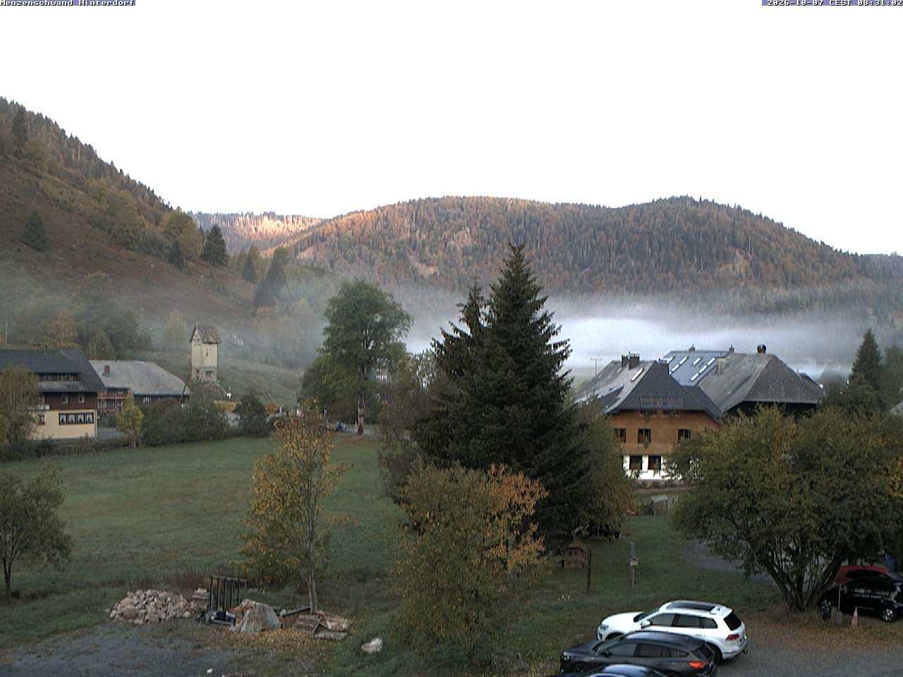 Archiv Foto Webcam Menzenschwand: Hinterdorf