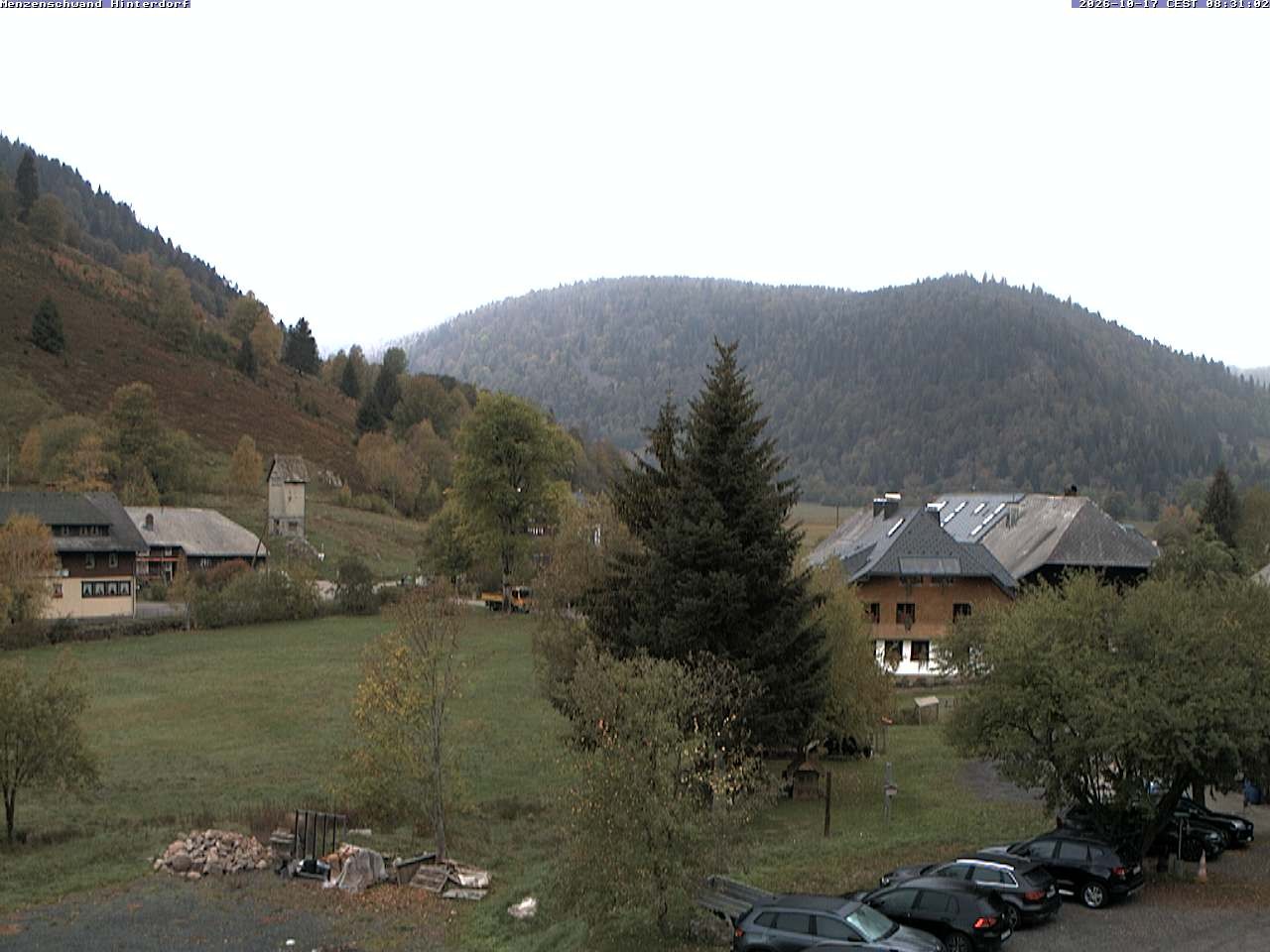 Archiv Foto Webcam Menzenschwand: Hinterdorf