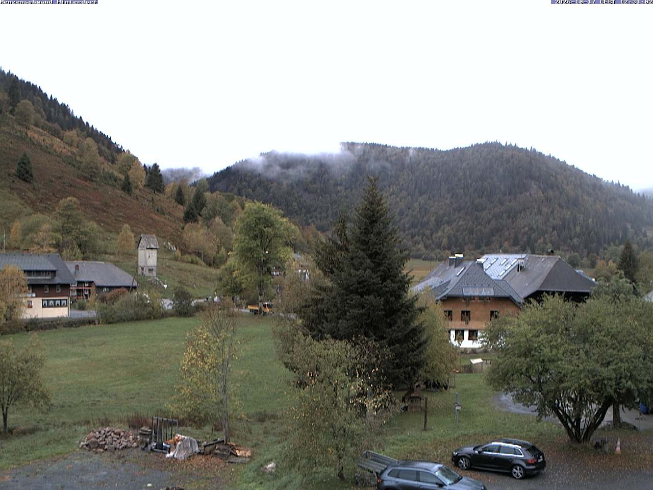 Archiv Foto Webcam Menzenschwand: Hinterdorf