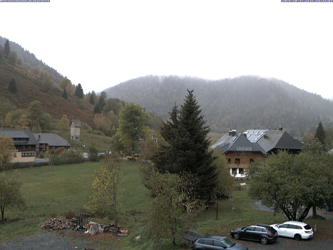 Archiv Foto Webcam Menzenschwand: Hinterdorf